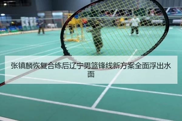 张镇麟恢复合练后辽宁男篮锋线新方案全面浮出水面