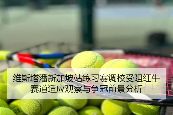 维斯塔潘新加坡站练习赛调校受阻红牛赛道适应观察与争冠前景分析